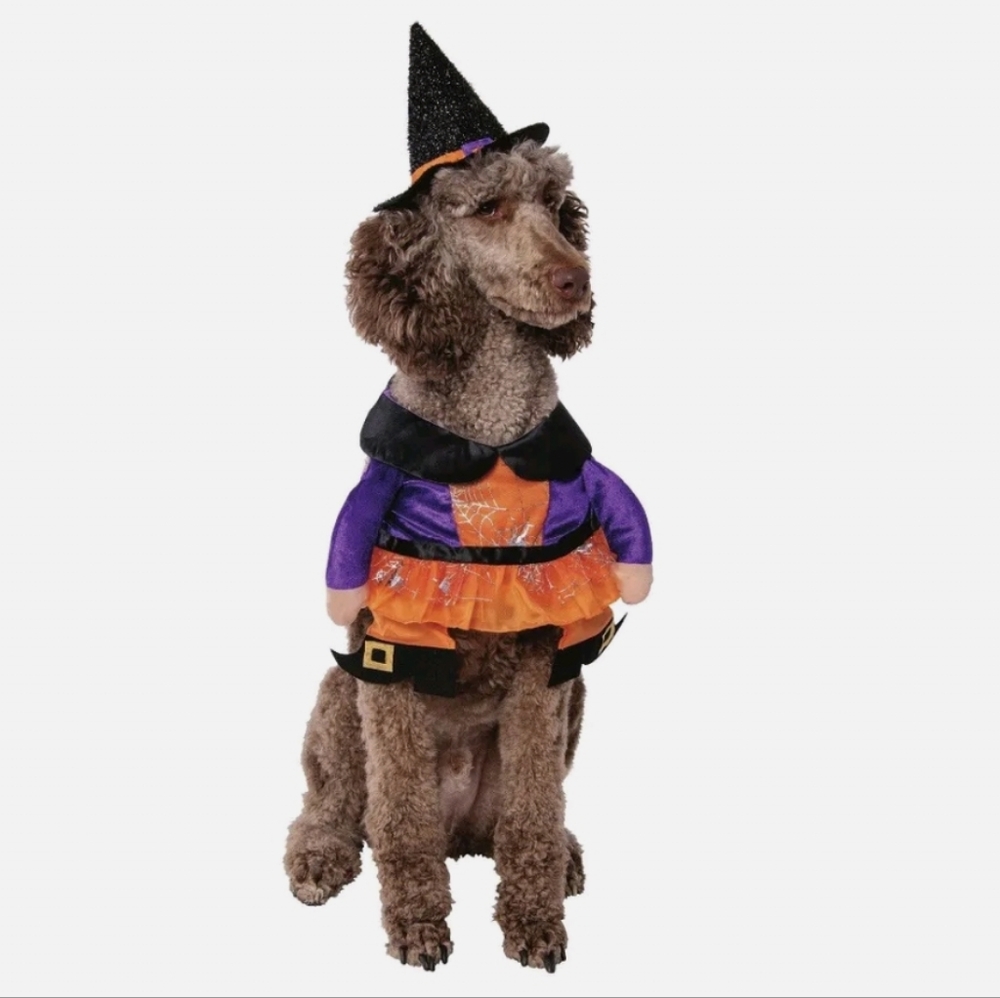 Pet Costume Halloween Witch Costume NWT